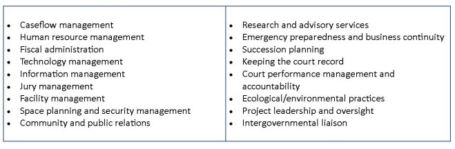 Court Leader Roles chart of admin duties 7-11-20 (2)